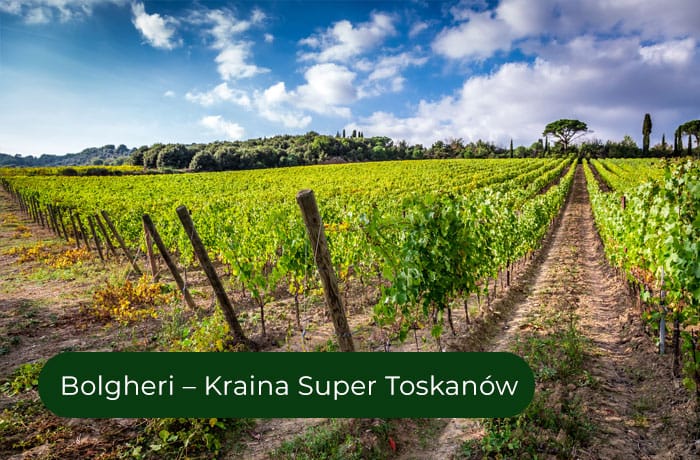 Bolgheri – kraina Super Toskanów